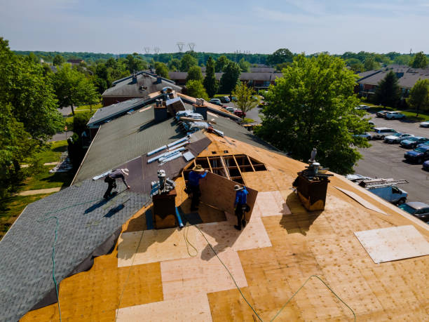 Trusted Storm Damage Roof Repair service in Queen Anne, MD - Brentwood Metal Roofing